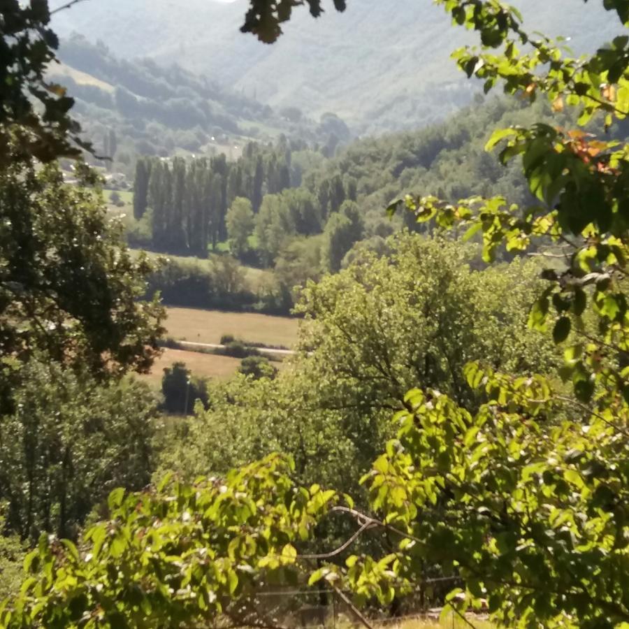 Casa Zia Cianetta Residenza Di Campagna Guest House Capodacqua  Екстериор снимка